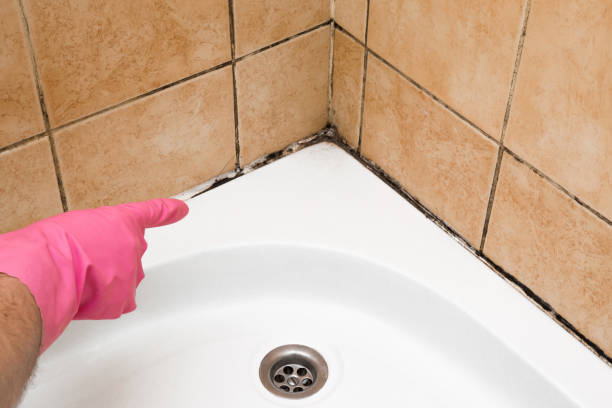 Best Emergency Mold Removal  in Jay, OK